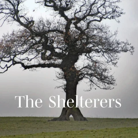 The Shelterers by Wilton Morley