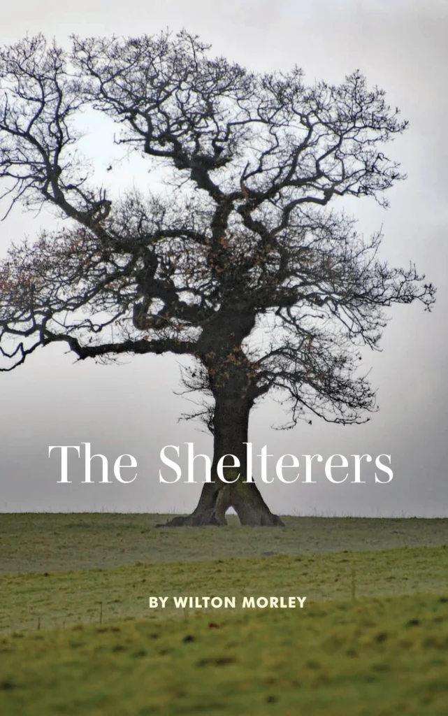 The Shelterers by Wilton Morley