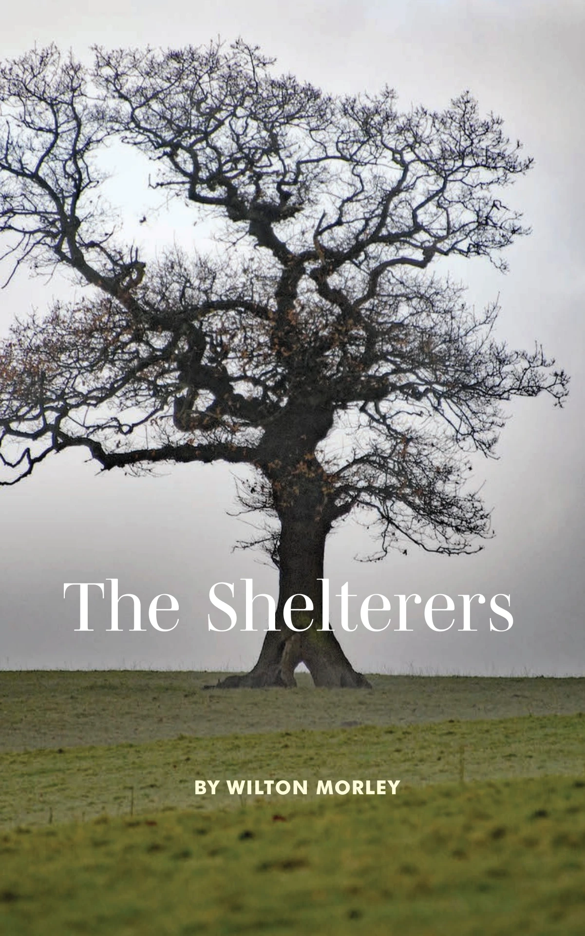 The Shelterers by Wilton Morley